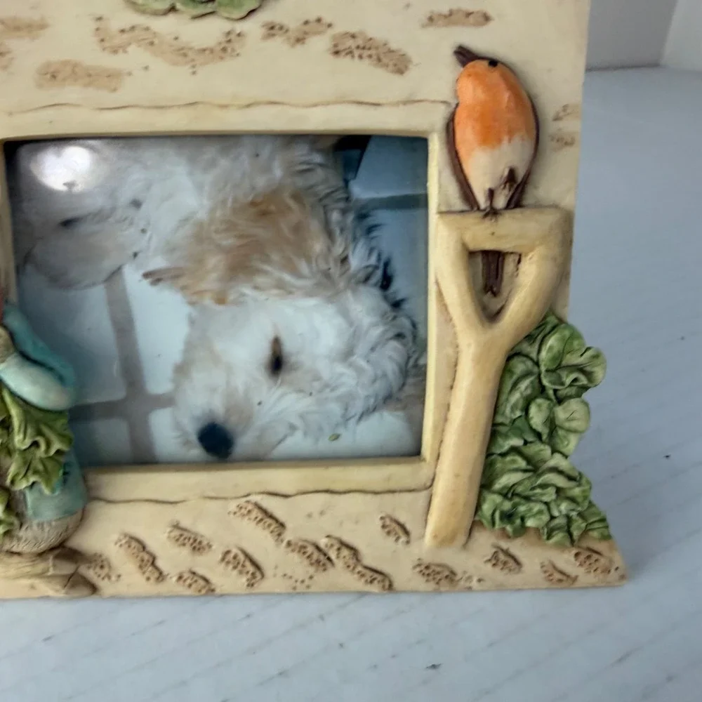 Frederick Warne & Co 94' Charpente Peter Rabbit Resin 3D Picture Frame 7'X5